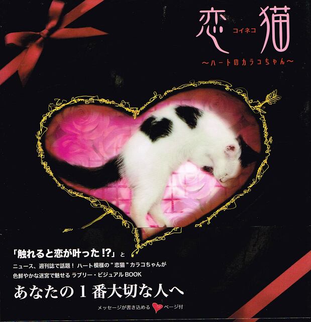 恋猫 猫のはなし 恋猫うかれ猫はらみ猫 (角川文庫)
